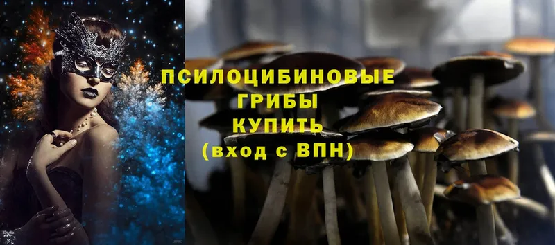 где купить наркоту  KRAKEN tor  мориарти клад  Сорск  Галлюциногенные грибы MAGIC MUSHROOMS 